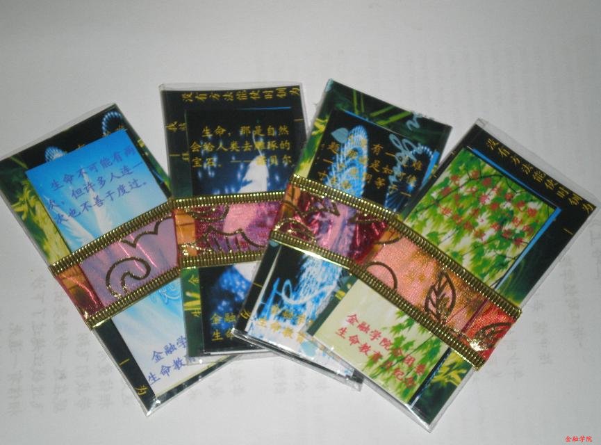 赏金女王